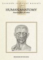 Anatomie člověka